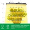 Mars Hydro SP3000 augu lampa