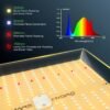 Mars Hydro TS1000 augu lampa